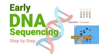 Thumbnail: Early DNA Sequencing | Sanger DNA sequencing