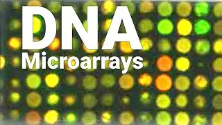 Thumbnail: DNA Microarrays - Cancer Gene Expressions - Pharmacogenomics