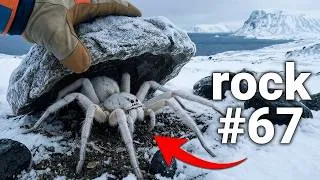 Thumbnail: I Flipped 100 Rocks in the Arctic Circle, Here's What I Found...