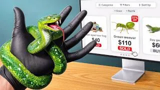 Thumbnail: I Bought EVERY Green Animal Online...