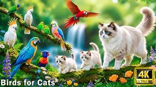 Thumbnail: 12 Hours of Relaxing Bird TV for Cats 🌿 Colorful Garden Birds & Nature Sounds to Calm Curious Cats