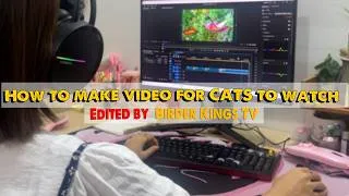 Thumbnail: Cat TV for Cats to Watch: Behind the Scenes of Videos Made for Cats - Birds Video for Cats