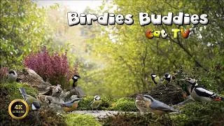 Thumbnail: Cat TV for cats to watch 🐈 - Green Forest Full Of Wings 🌿(4K)
