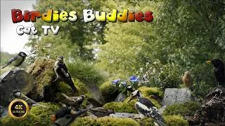 Thumbnail: Cat TV for cats to watch 🐈 -  Busy Birds At The Garden Feeder 🦜🌿 (4K)