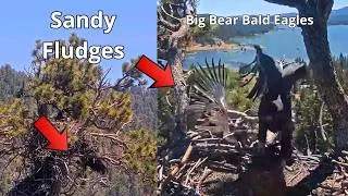 Thumbnail: Luna Jumps Over Sandy, But Sandy Falls & Fludges