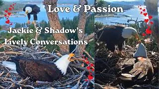 Thumbnail: Jackie🦅& Shadow's🦅Loud Conversations😍, Jackie Jumps Over Shadow, Funny Switcheroos.😁