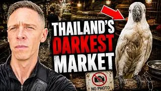 Thumbnail: Inside Bangkok’s Bird Market… This Was Hard to Watch