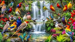 Thumbnail: Amazon Jungle Birds | Tropical Sounds 🦜🦩🦚🌺🌈#BeautifulBirds #birdslifedocumentary #birdvideos