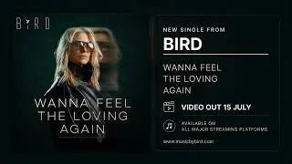 Thumbnail: BIRD I Just wanna feel the Loving again