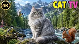 Thumbnail: Cat TV 4K 🐱 Relaxing Lavender Field with a Fluffy Ragdoll Cat🌲 6 Hours