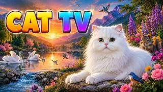 Thumbnail: Cat TV 🐱 The Most Beautiful Cat in a Lavender Paradise🌿 6 Hours