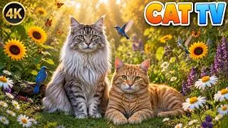 Thumbnail: Cat TV 4K 🐱 Peaceful Cat Moments in a Dreamy Lavender Field🌲 6 Hours