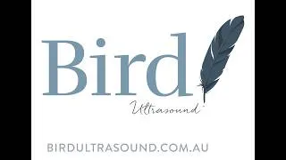 Thumbnail: Bird teaches the word
