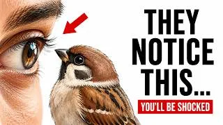 Thumbnail: What Birds Notice About You That You Don't Notice About Yourself