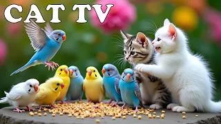 Thumbnail: ULTIMATE NATURE FOR CATS & DOGS THAT ARE HOME ALONE 🐶😸 Lovely Birds in Garden Chirping 🦜 TV FOR PETS