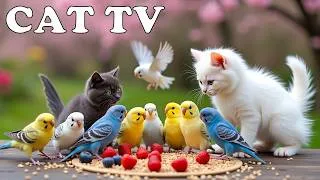 Thumbnail: 3 Hrs Best of Relaxing TV FOR CAT 😻 Uninterrupted Birds 🐦 Impatiens 🌸 CAT TV Heal Separation Anxiety