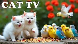 Thumbnail: CAT TV😸📺 Mind-Blowing Hidden Forest Venue of Cute Birds🦜 Relaxing Bird Sound Help Cats Reduce Stress