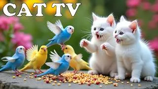 Thumbnail: [2026 Version] CAT TV For Home Alone Cat😿 Colorful Birds Squabble Over Food🦜 Anti Anxiety TV FOR CAT