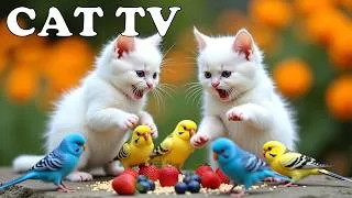 Thumbnail: 4K HDR CAT TV 😻🎥 Countless Birds in Beautiful Garden 🦜 Relaxing Bird Sounds Help Cats Reduce Stress