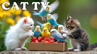 Thumbnail: Nature Therapy For Cats When Home Alone: 4K CAT TV with Beautiful Birds 😻🦜 Relaxing Bird Sounds 🎶