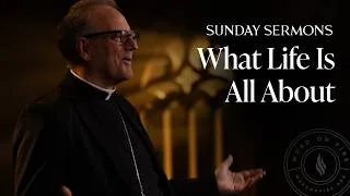 Thumbnail: What Life Is All About - Bishop Barron's Sunday Sermon