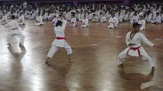 Thumbnail: INKANAS | Karate-Do