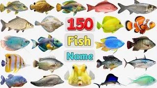 Thumbnail: Fish Vocabulary ll 150 Fish Names in English With Pictures ll Common Fish Names