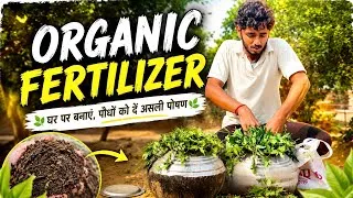 Thumbnail: 🌿 Organic Fertilizer | घर पर बनाएं सबसे असरदार ऑर्गेनिक खाद 🌱