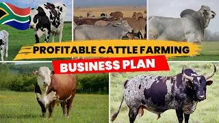 Thumbnail: How To Start A Profitable Cattle Farming Business In South Africa