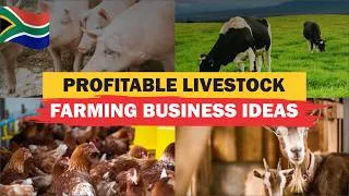 Thumbnail: Top 7 Most Profitable Livestock Farming Business Ideas in South Africa