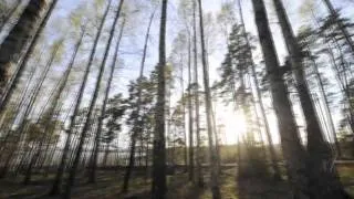 Thumbnail: Bj Sport :: Summer