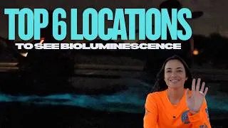 Thumbnail: Top 6 Locations to See Bioluminescence in Florida | BK Adventure
