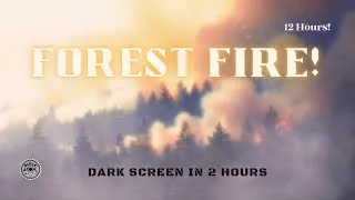 Thumbnail: ⨀ Forest Fire Sounds for Sleeping 🔥 Crackling Flames & Burning Forest Ambience | 12 Hours ⨀