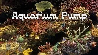 Thumbnail: ⨀ Aquarium Sounds for Sleep | Relaxing Fish Tank & Aquarium Pump Ambience | 12 Hours ⨀
