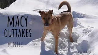 Thumbnail: Macy outtakes - winter edition