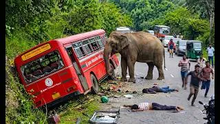 Thumbnail: Hungry wild elephants attack moving vehicles in search of food! #elephantattack