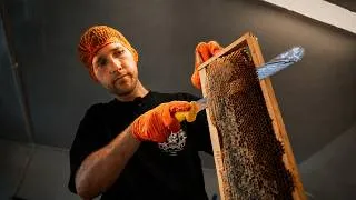 Thumbnail: Zayne Extracts Honey for the First Time