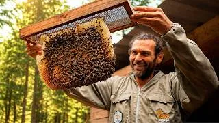 Thumbnail: This Is What Happens When You Don't Manage Your Bees