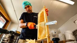 Thumbnail: Honey Harvesting From Hive to Jar | 8K ASMR Beekeeping