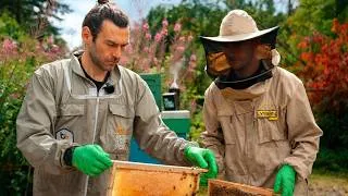 Thumbnail: First Honey Harvest! Getting Zayne’s Bees Ready for Winter