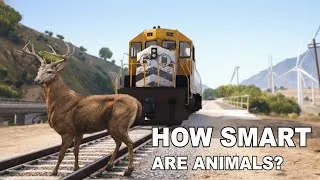 Thumbnail: GTA 5 - How Smart are Animals?