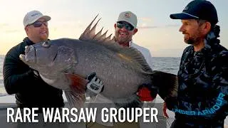 Thumbnail: Fishing for RARE Warsaw Groupers