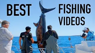 Thumbnail: Top 10 Best Fishing Videos from 2025