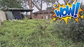 Thumbnail: Is This the BEST Yard Cleanup EVER!?