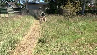 Thumbnail: Can I Fix This CRAZY Overgrown Yard?
