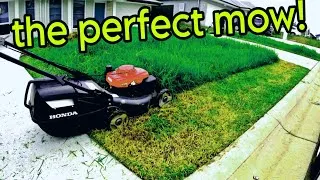 Thumbnail: Aussie YouTuber found ALIVE & WELL MOWING LAWNS!