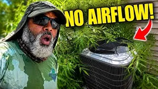 Thumbnail: This is RIDICULOUS! Mowing in the Rain? 🌧️ Lawn Care Routine & Quick Weed Control Hack