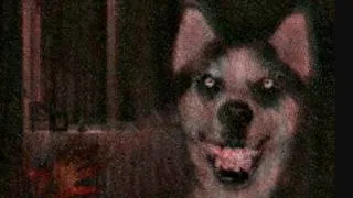 Thumbnail: Where Did The "Smiledog" Image Come From?