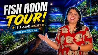 Thumbnail: This Pune Aquarium Gallery Has the Best Discus Fish!