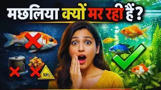 Thumbnail: एक्वेरियम में मछली मरने का असली कारण | Aquarium shop in Pune
